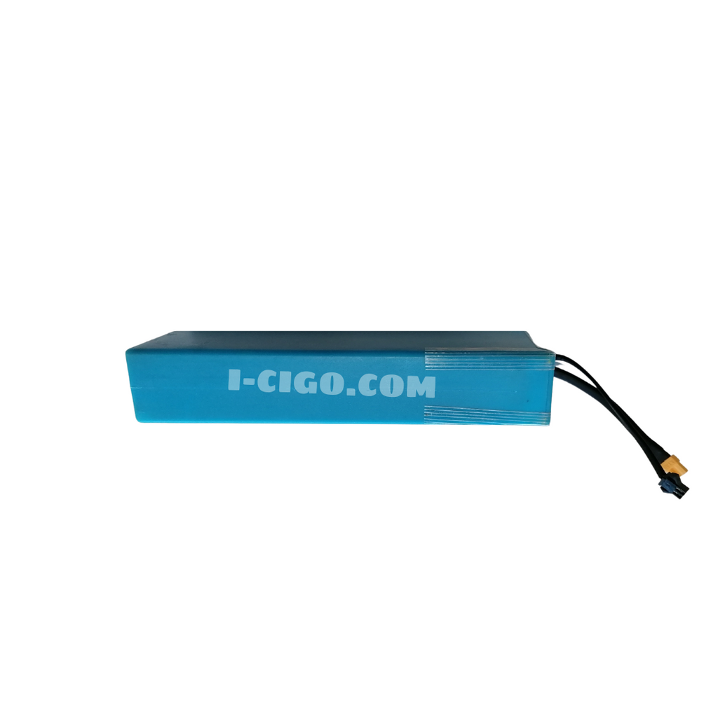 Denver e-step SEL-80125MK2 /130MK2 /MK2/135/140F accu 36V 4.0ah/144Wh-Black plug
