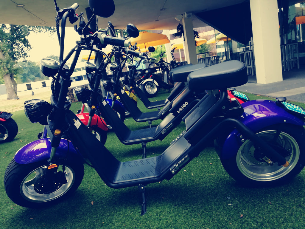 I-CIGO E-scooter 2.0,Paars, Citycoco stadsscooter met  blauw kenteken(100% elektrische )