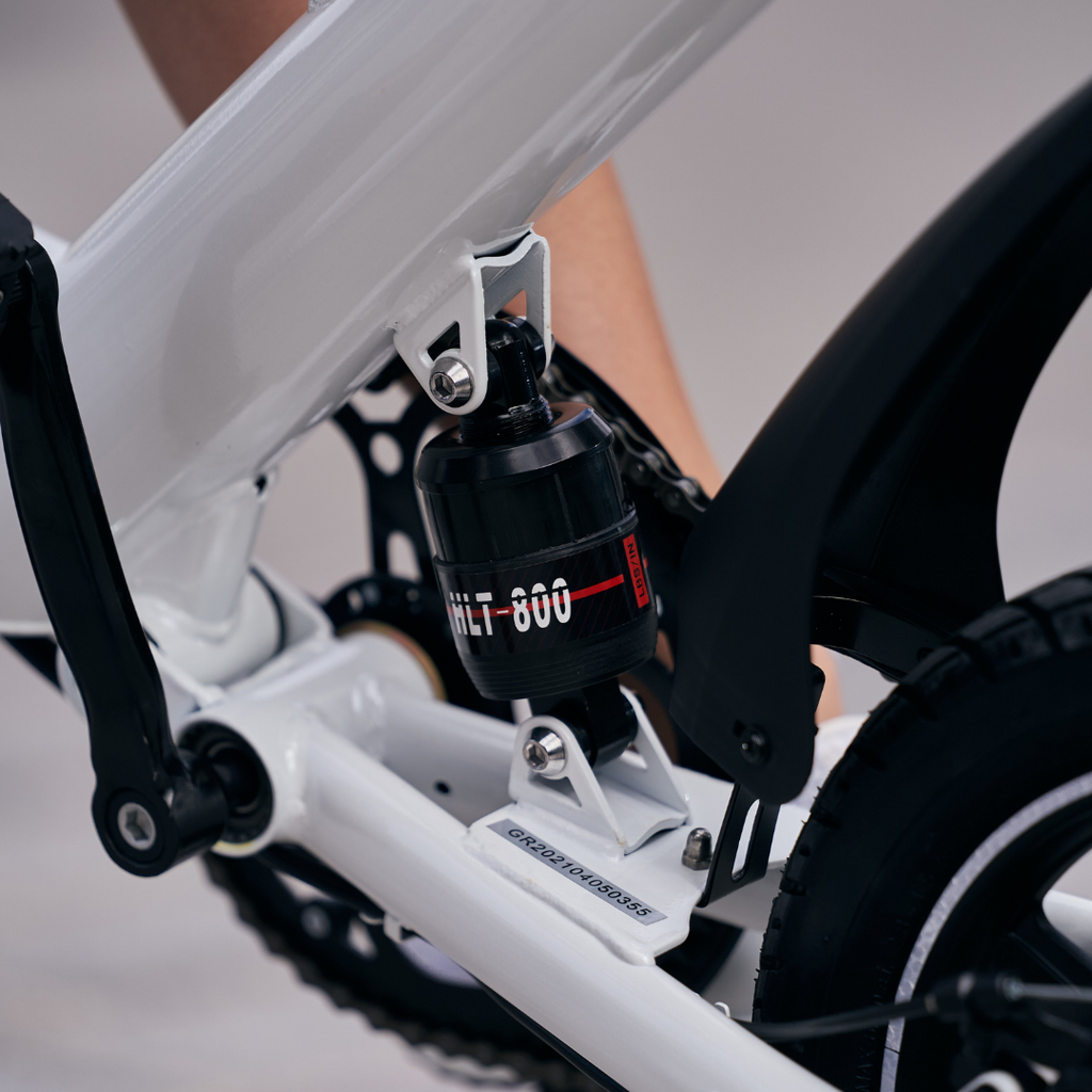 GoRunner- E-Bike –Elektrische plooifiets - Mini Elektrische Fiets - Vouwfiets-met Lithuim-ion accu- Borstelloze motor (Wit)